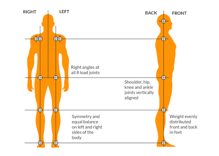 Front and side view images of a man with correct body alignment